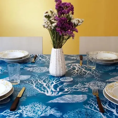 Casa Caboi 까브라스